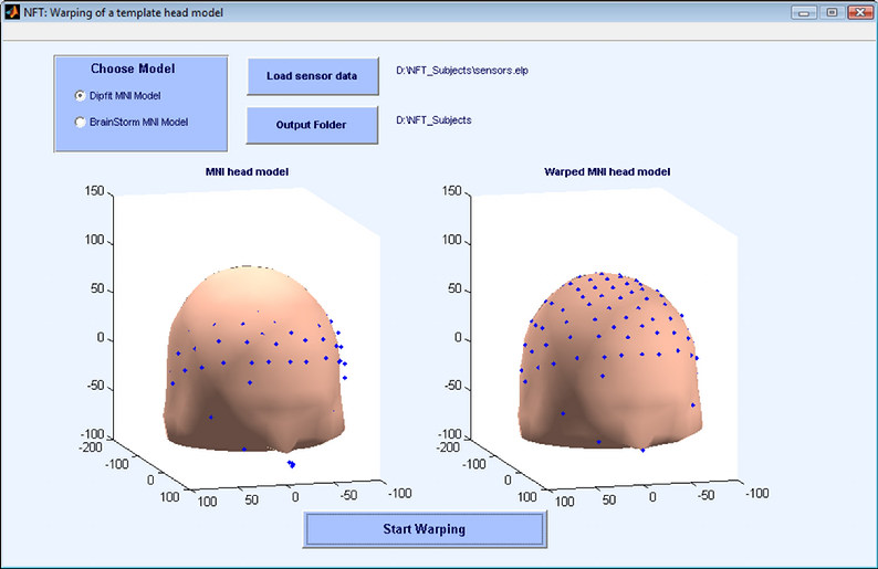 Figure 11: Interface warping of a template head model.