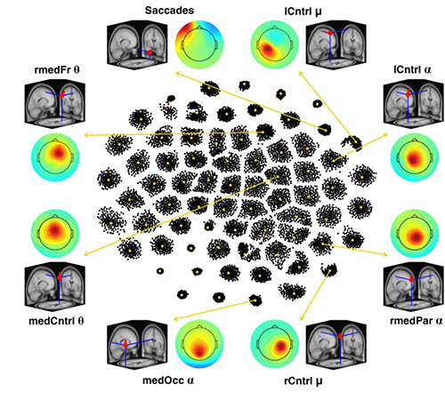 Scalp maps of select clusters of reliable ICs calculated by RELICA