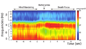 scalp topography