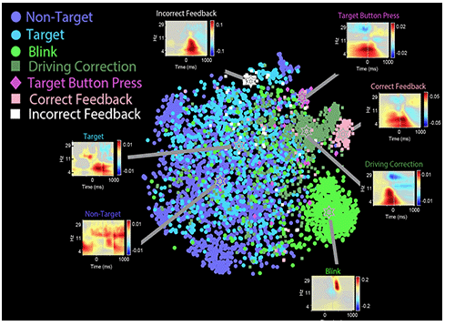 2D t-SNE visualization of rERSPs