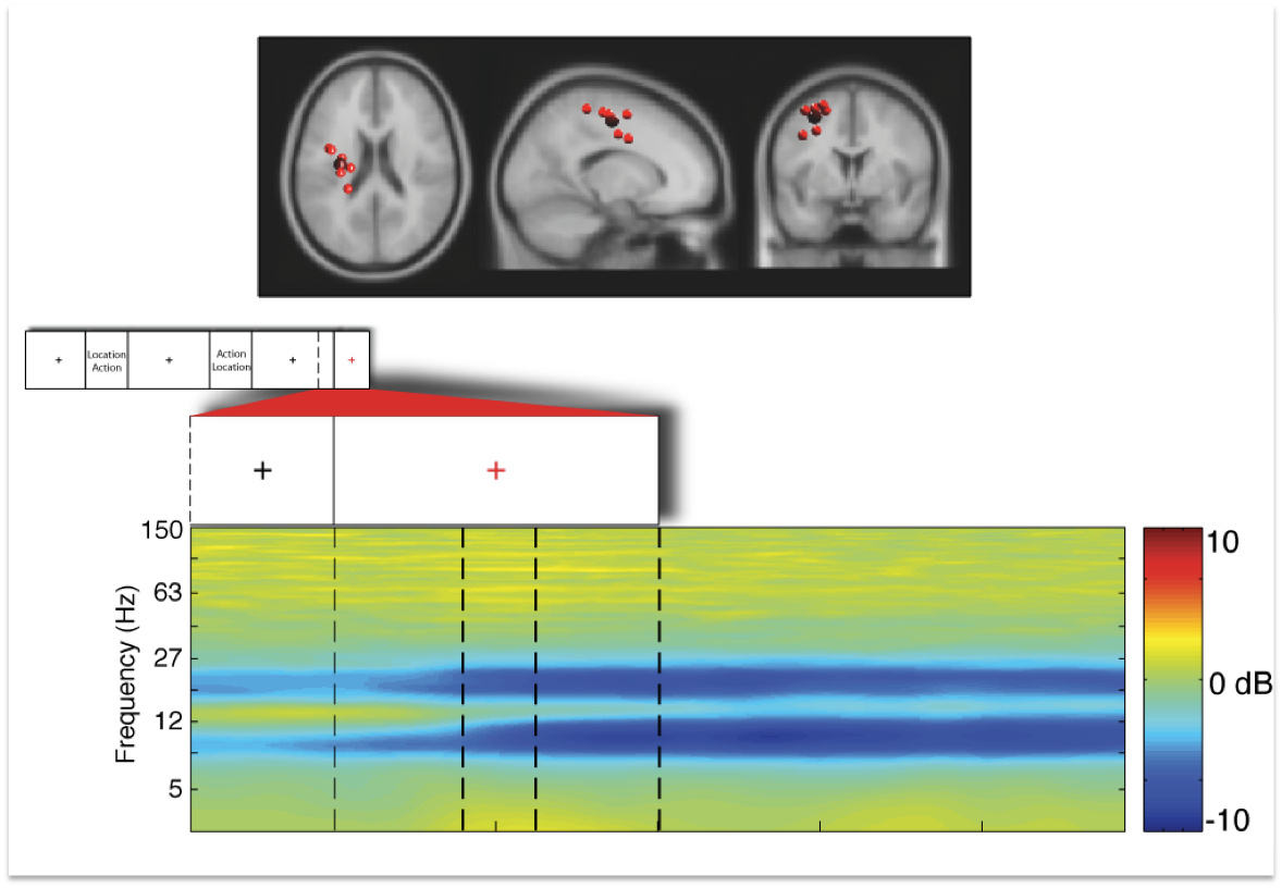 MoBI Left Motor Cortex 2